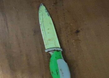 У Кривому Розі чоловік зарізав дружину та намагався вчинити суїцид (ФОТО 18+)
