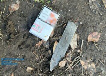 Зґвалтував, а потім вбив: з’явилися подробиці щодо вбивства 11-річної дівчинки у Дніпрі