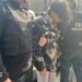 У Дніпрі затримала агента рф, який хотів скоригувати ракетний удар по ТЕС та військовому шпиталю міста