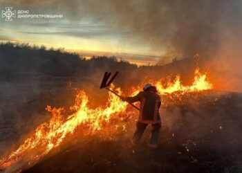 На Дніпропетровщині за день зловили 20 людей, які спричинили пожежі в екосистемах