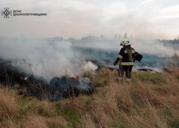На Дніпропетровщині за добу згоріло понад 18 гектар екосистем