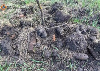 На полі в області знайшли понад 50 снарядів