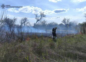 На Дніпропетровщині протягом доби згоріло понад 15 гектарів екосистем
