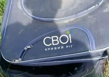 У Кривому Розі знайшли валізу з трупом песика (ВІДЕО 18+)