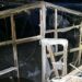 Збитий “шахед” на Криворіжжі та атака на Нікопольщину: ситуація в області на ранок