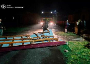 Масовий деревопад та знесені дахи: рятувальники показали, як долали наслідки негоди в області