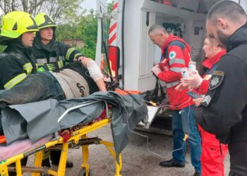 На Дніпропетровщині в голові 72-річного чоловіка застрягло кермо мотоблока: як рятували травмованого