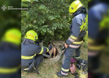 У Кривому Розі врятували жінку, яка впала до глибокого колодязя