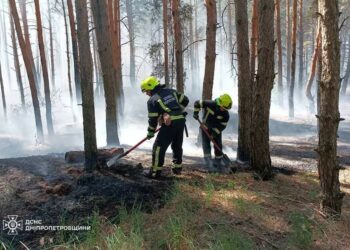 У Дніпрі та області оголошено надзвичайну пожежну безпеку