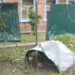 Окупанти поранили 61-річну жінку у Нікополі: ситуація в області на вечір