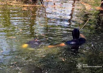 У Дніпрі знайшли тіло потопельника у штучній водоймі