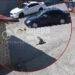 У Дніпрі нелюд на Mitsubishi безжально задавив собаку: моторошне відео
