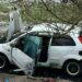 Замовне вбивство: затримали організатора підриву автівки у Дніпрі