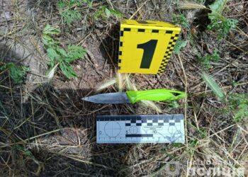 У Дніпрі неадекват поранив ножем чоловіка, який рибалив на берегу водойми