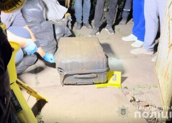 Жорстоке вбивство дівчинки: у поліції повідомили офіційну версію загибелі 10-річної Дарини у Кривому Розі (ВІДЕО)