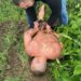 Затримали одного з “силовиків”, які катували ексвійськового у центрі Дніпра