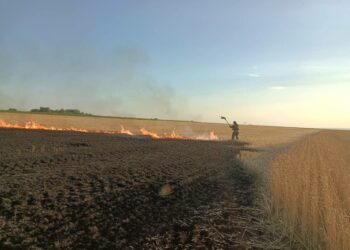 Через обстріли на Нікопольщині згоріло поле пшениці: деталі про наслідки ворожих атак