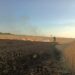 Через обстріли на Нікопольщині згоріло поле пшениці: деталі про наслідки ворожих атак