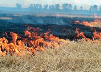 Окупанти вдарили по Нікопольщині та Криворіжжю: ситуація в області на ранок