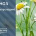 Сонячно, сухо та спекотно: прогноз погоди на сьогодні