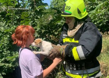 Хвилинка добра: у Жовтих Водах   рятувальники визволили песика з глибокої пастки