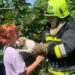 Хвилинка добра: у Жовтих Водах рятувальники визволили песика з глибокої пастки