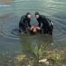 Знову смерть на водоймі: у Павлоградському районі водолази дістали з річки потопельника