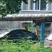 Атакує людей: у Дніпрі оселився небезпечний птах
