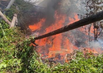 Пожежі та руйнування: окупанти атакували Нікопольщину та Криворіжжя