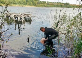 У Павлоградському районі потонув чоловік