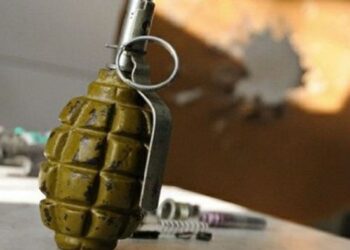 Вибух гранати у будинку Петриківського району: постраждала дитина