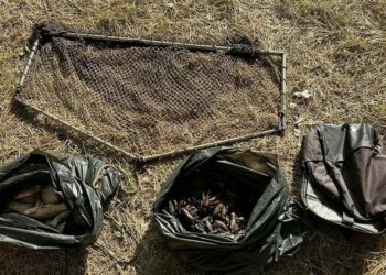 На Дніпропетровщині покарали порушників, які виловили більше 150 раків під час заборони