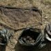 На Дніпропетровщині покарали порушників, які виловили більше 150 раків під час заборони