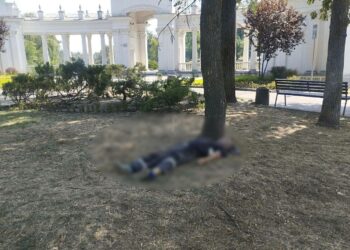 Чоловік загинув внаслідок укусів комах: трагедія у Кривому Розі (ФОТО 18+)