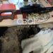 Велика трагедія у Кривому Розі: підліток застрелився з батькової рушниці
