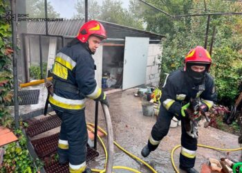 Хвилинка добра: надзвичайники врятували котика на пожежі у Дніпрі