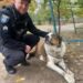 Хвилинка добра: у Дніпрі патрульні допомогли песику повернутися до господарів