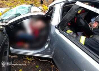 У Нікополі велетенське дерево вбило водія авто
