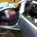У Нікополі велетенське дерево вбило водія авто