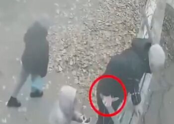 У Кривому Розі батько намагався визволити сина з ТЦК: офіційний коментар щодо стрілянини (ВІДЕО)
