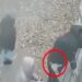 У Кривому Розі батько намагався визволити сина з ТЦК: офіційний коментар щодо стрілянини (ВІДЕО)