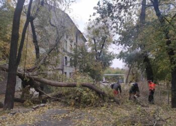 Куди звертатися дніпрянам щодо усунення наслідків негоди