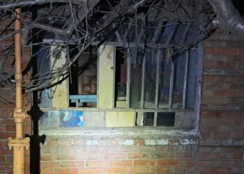 Окупанти били по Нікопольщині з артилерії та запустили дрон-камікадзе