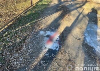 В Апостоловому затримали жорстокого нападника, який до смерті забив знайомого