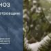 Новий рік без снігу: погода у Дніпрі та області на завтра