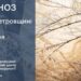 Прогноз погоди на весь тиждень від синоптиків Дніпра