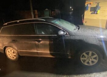 У Кривому Розі розшукали водія, який збив 11-річну дівчинку