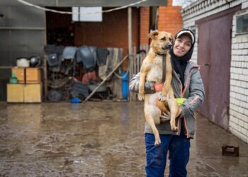 Зоозахисниця з Дніпра Олена Мосійчук розповіла про 15 років порятунку собак від війни та небезпеки