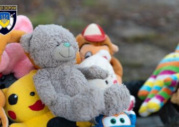 У Дніпрі розшукали двох підлітків, які поцупили м’які іграшки біля садочку