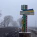 Несподіване звільнення голови та більшості депутатів: село Новопавлівка на Синельниківщині залишилося без влади